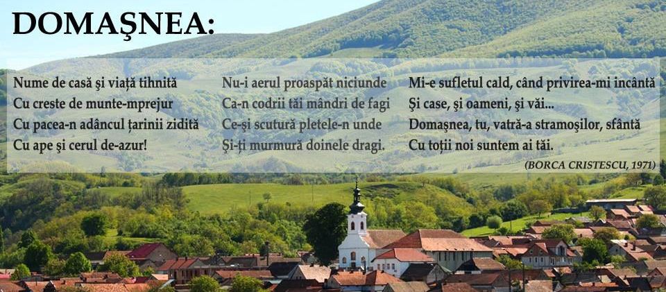 domasnea.com